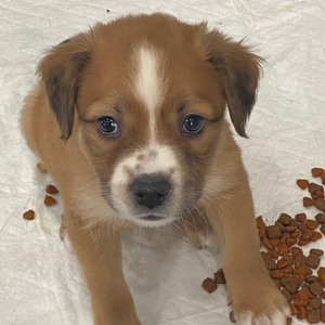 Team Page: Team Spencer